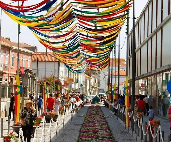 Viana E No Centro Historico * Viana do Castelo